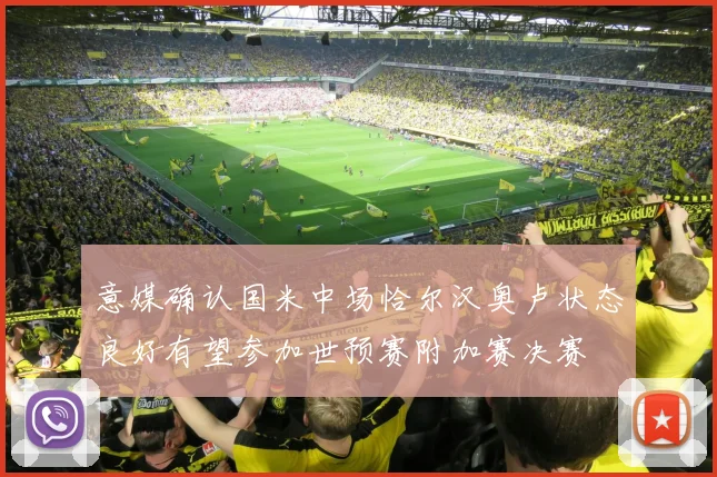 意媒确认国米中场恰尔汉奥卢状态良好有望参加世预赛附加赛决赛