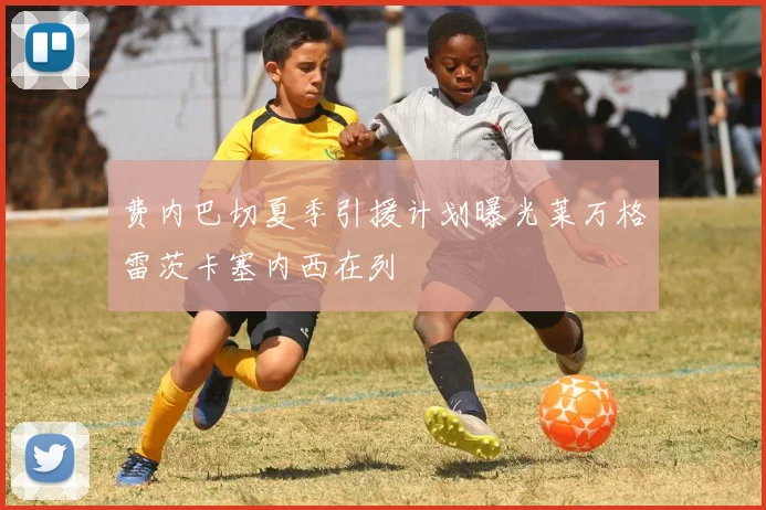 费内巴切夏季引援计划曝光莱万格雷茨卡塞内西在列